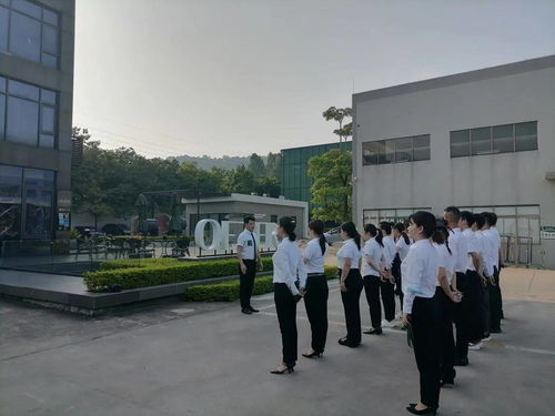 欧哲第22期雏鹰行动精英导购特训营圆满结束